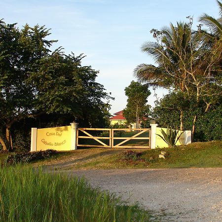 Casa Del Caballo Blanco San Ignacio Dış mekan fotoğraf