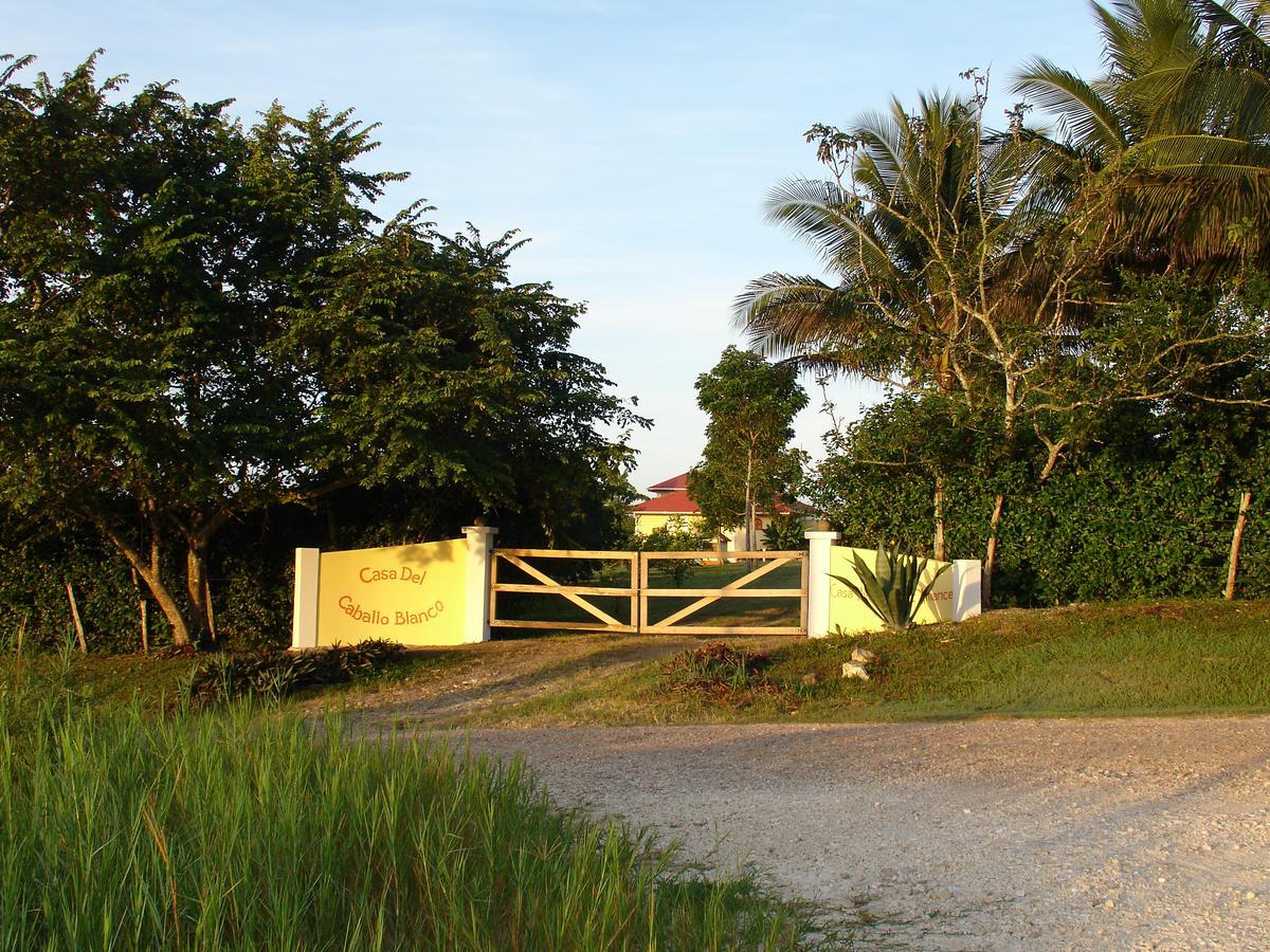 Casa Del Caballo Blanco San Ignacio Dış mekan fotoğraf