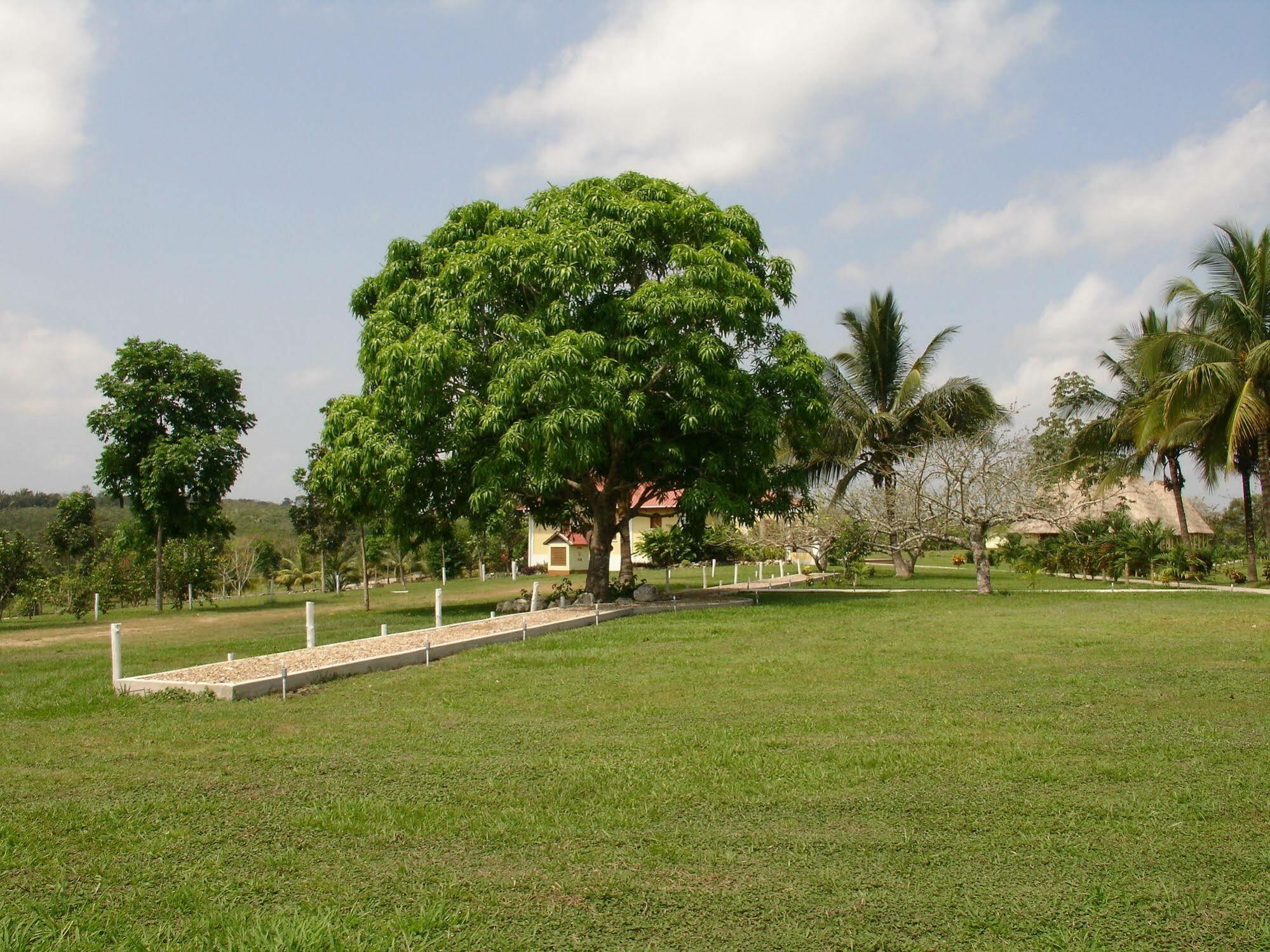 Casa Del Caballo Blanco San Ignacio Dış mekan fotoğraf